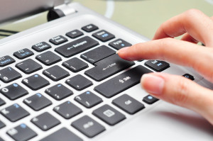 sukses bisnis online