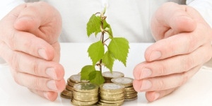investasi menguntungkan